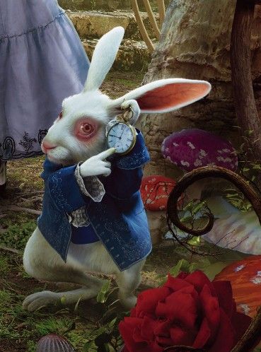 The clock is ticking – Monarca Collection